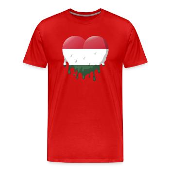 Ungarn Flagge Ungarische Fahne Balaton Hungary - Männer Premium Bio T-Shirt - Rot - Vorne - Damien (186cm)