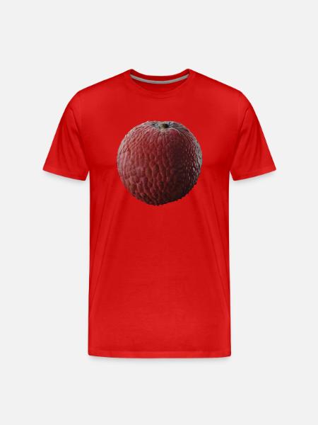 Litschi Frucht Geschenk - Männer Premium Bio T-Shirt - Rot