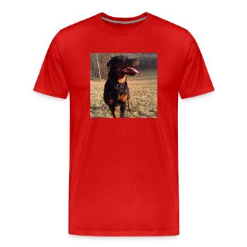 Rottweiler - Männer Premium Bio T-Shirt - Rot - Vorne - Damien (186cm)