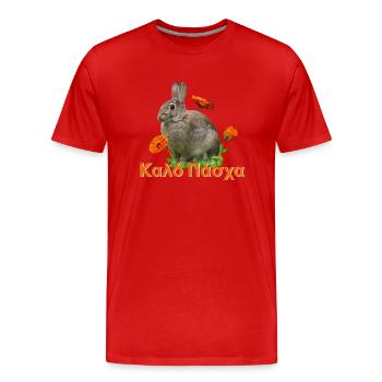 καλό Πάσχα Frohe Ostern - Männer Premium Bio T-Shirt - Rot - Vorne - Damien (186cm)