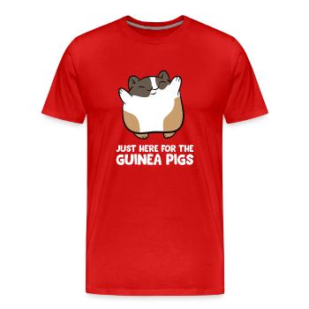 Cochons d'Inde - Just here for the guinea pigs - T-shirt bio Premium Homme - rouge - Devant - Damien (186cm)
