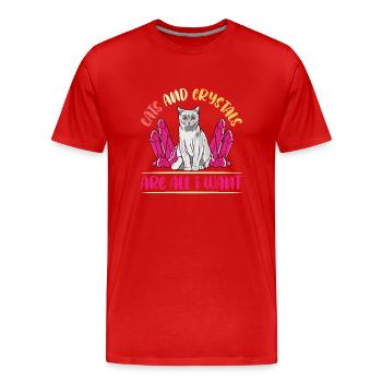 Cristaux et pierres de guérison par les cristaux - T-shirt bio Premium Homme - rouge - Devant - Damien (186cm)