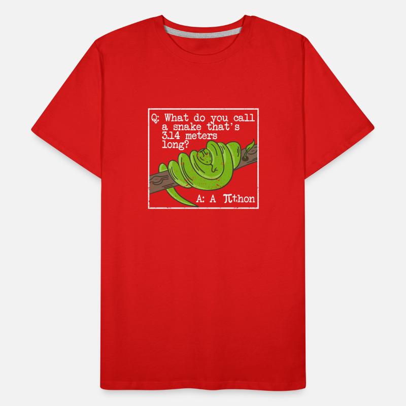 python serpent pithon pi tag icône maths drôles T-shirt bio Premium Homme