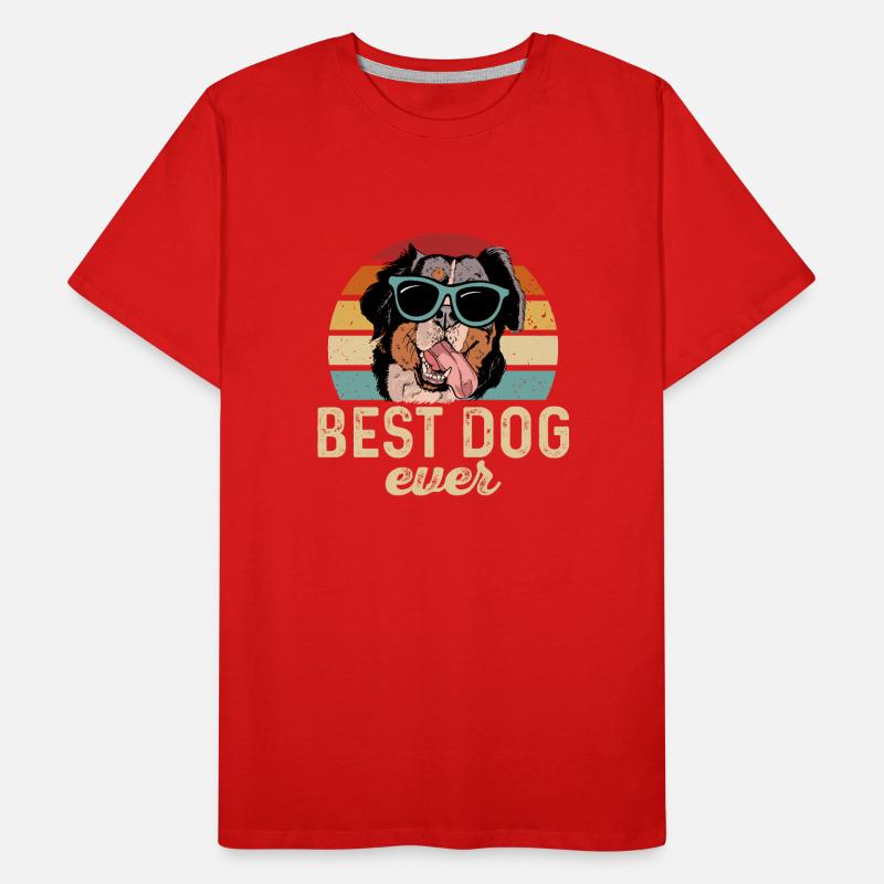 Bouvier bernois T-shirt bio Premium Homme