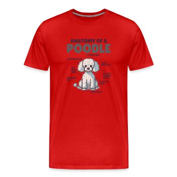 Explication du chien Anatomie d’un caniche - T-shirt bio Premium Homme - rouge - Devant - Damien (186cm)