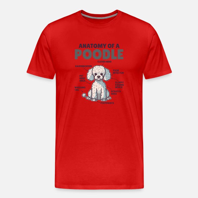 Hunde Erklärung Anatomy eines Pudel - Männer Premium Bio T-Shirt - Rot