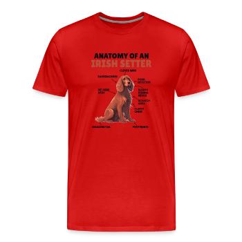 Explication du chien Anatomie d’un setter irlandais - T-shirt bio Premium Homme - rouge - Devant - Damien (186cm)