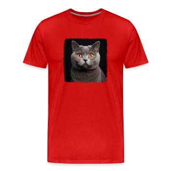 Cat Cats British Shorthair British Shorthair - Men's Premium Organic T-Shirt - red - Front - Damien (186cm)