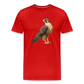 Faucon Faucon - T-shirt bio Premium Homme - rouge - Devant - Damien (186cm)
