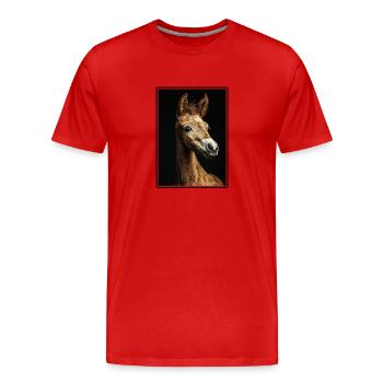 Chevaux Cheval - T-shirt bio Premium Homme - rouge - Devant - Damien (186cm)