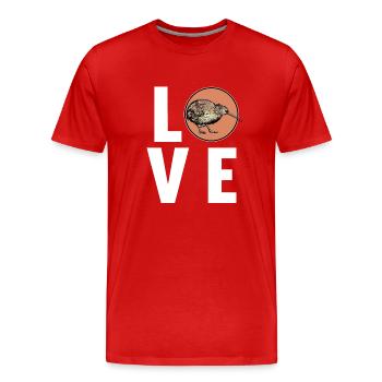 Kiwifruit Kiwi - Men's Premium Organic T-Shirt - red - Front - Damien (186cm)