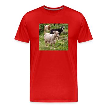 Chèvre de montagne dans le parc national Parc de l’île de Kos - T-shirt bio Premium Homme - rouge - Devant - Damien (186cm)