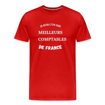 Buchhalter - Wirtschaft - Buchhaltung - Männer Premium Bio T-Shirt - Rot - Vorne - Damien (186cm)