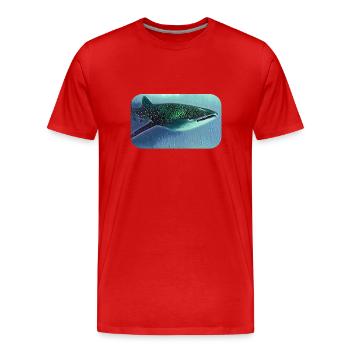 Walhai whale shark - Männer Premium Bio T-Shirt - Rot - Vorne - Damien (186cm)