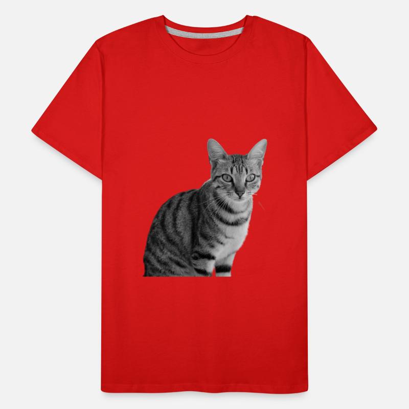 Chat blanc-noir Chat noir et blanc T-shirt bio Premium Homme