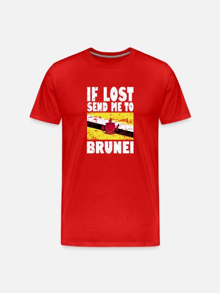 Drapeau du Brunei - T-shirt bio Premium Homme - rouge