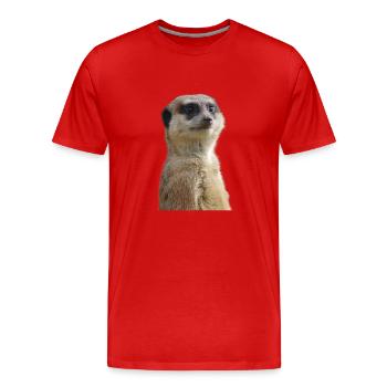 Erdmännchen Foto - Männer Premium Bio T-Shirt - Rot - Vorne - Damien (186cm)