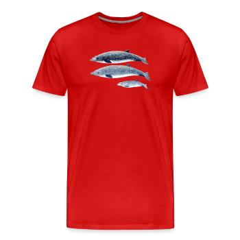 baleine à bec de Blainville - Baleine à bec - à bec Baleine - T-shirt bio Premium Homme - rouge - Devant - Damien (186cm)