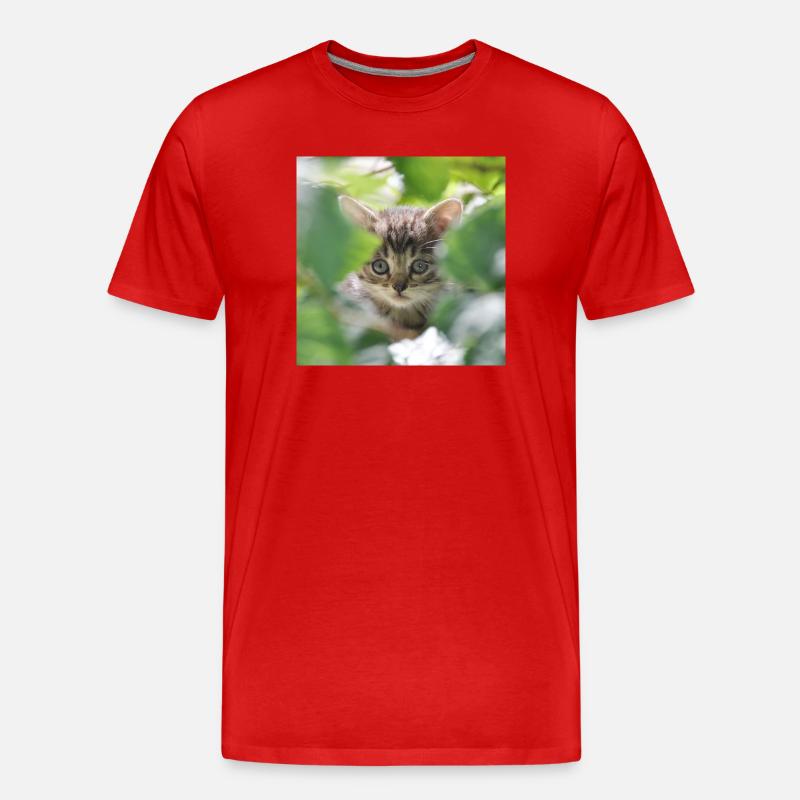 Schüchternes aber neugieriges Kätzchen - Männer Premium Bio T-Shirt - Rot