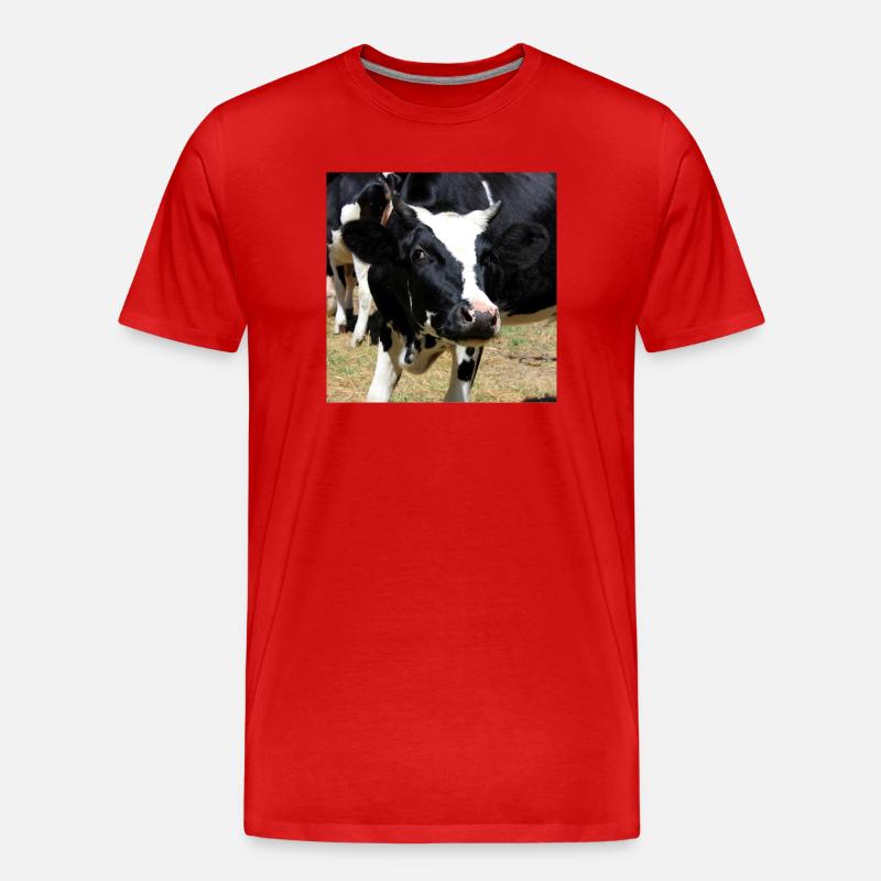 Kuh Poster - Männer Premium Bio T-Shirt - Rot
