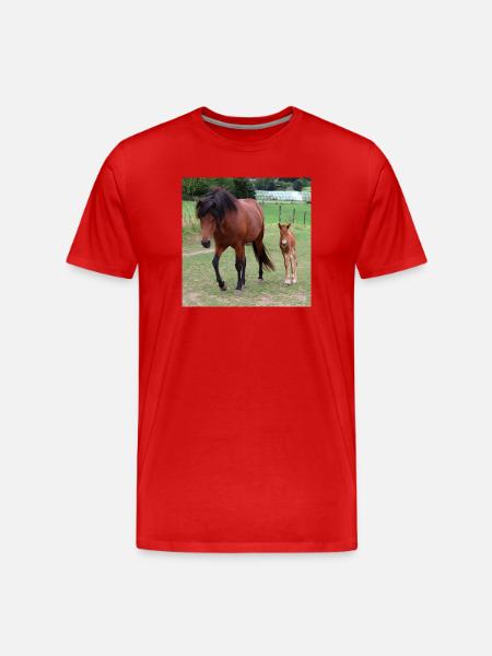 Affiche Cheval Cheval - T-shirt bio Premium Homme - rouge