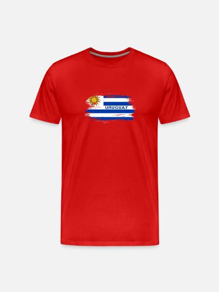 Uruguay Flaggen Design / Geschenkidee - Männer Premium Bio T-Shirt - Rot