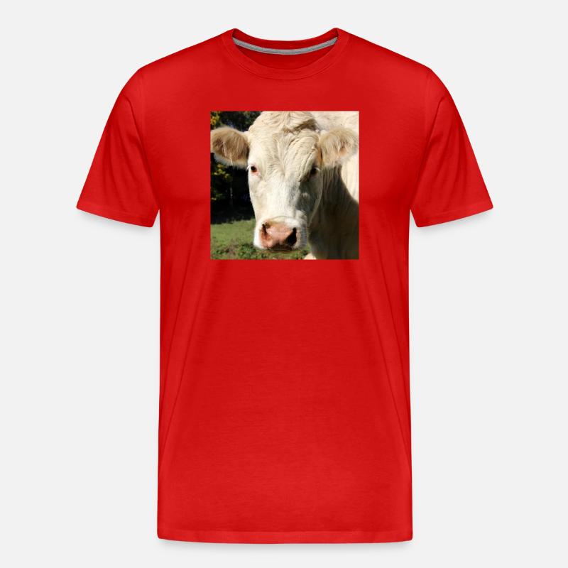 Kuh Poster - Männer Premium Bio T-Shirt - Rot