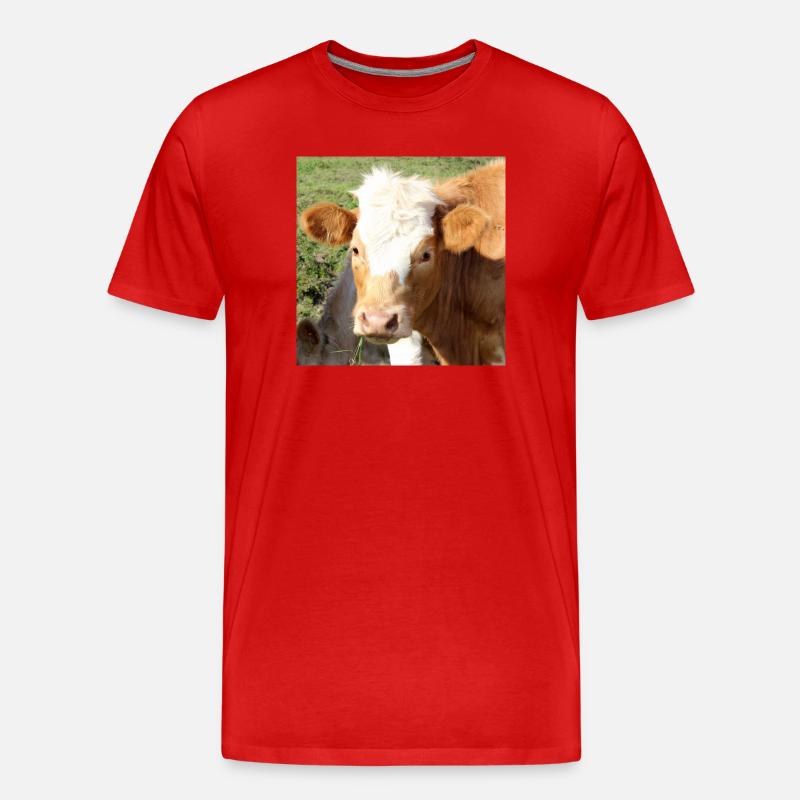 Kuh Poster - Männer Premium Bio T-Shirt - Rot