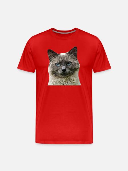 Kat Katte kat Katte Kat Hoved - Herre Premium T-shirt økologisk - rød