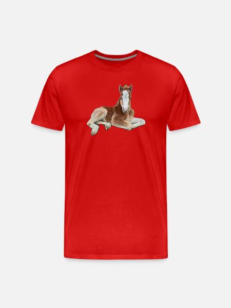 Fohlen - Männer Premium Bio T-Shirt - Rot