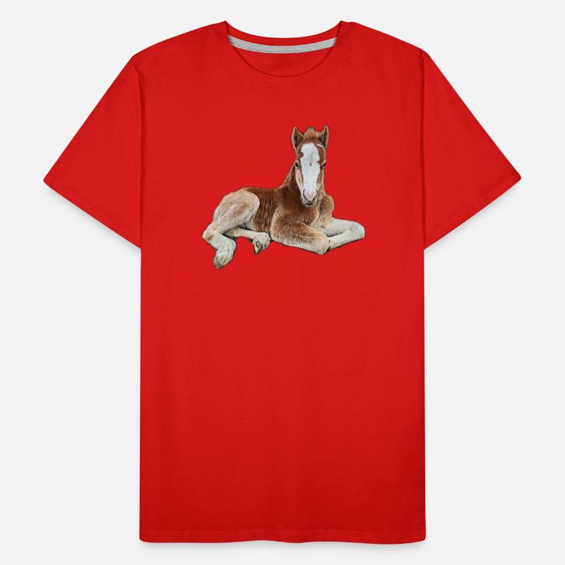 Fohlen Männer Premium Bio T-Shirt
