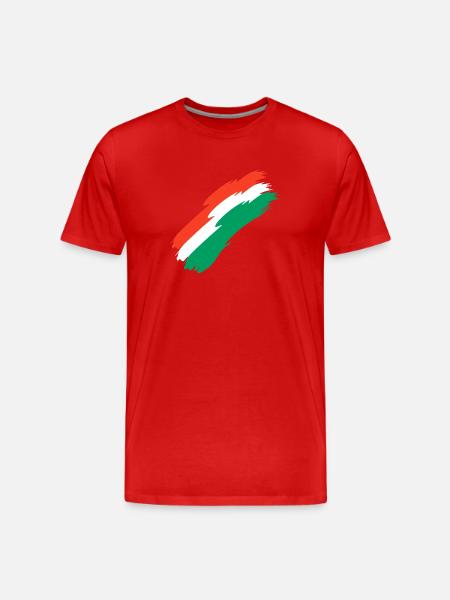 Oman Fahne Farben - Männer Premium Bio T-Shirt - Rot