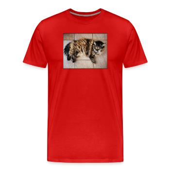 Kitty Cat - Men's Premium Organic T-Shirt - red - Front - Damien (186cm)