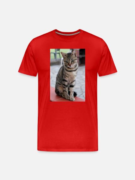 Chat Chaton Poster Chat Poster - T-shirt bio Premium Homme - rouge