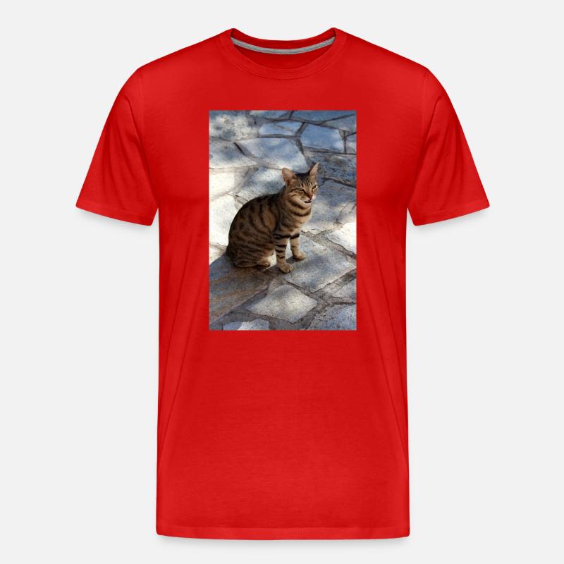 Katze Kätzchen - Männer Premium Bio T-Shirt - Rot