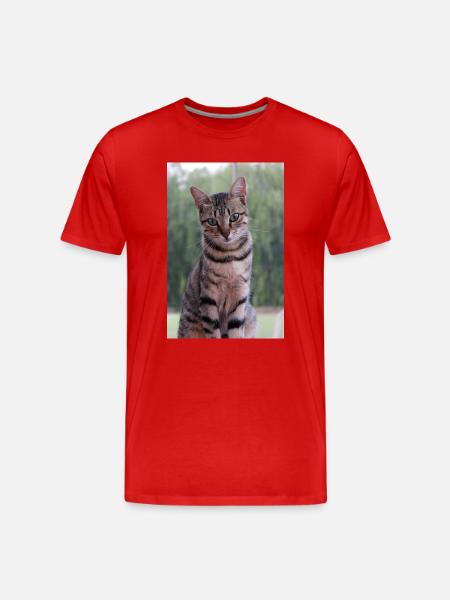 Chaton Chaton - T-shirt bio Premium Homme - rouge
