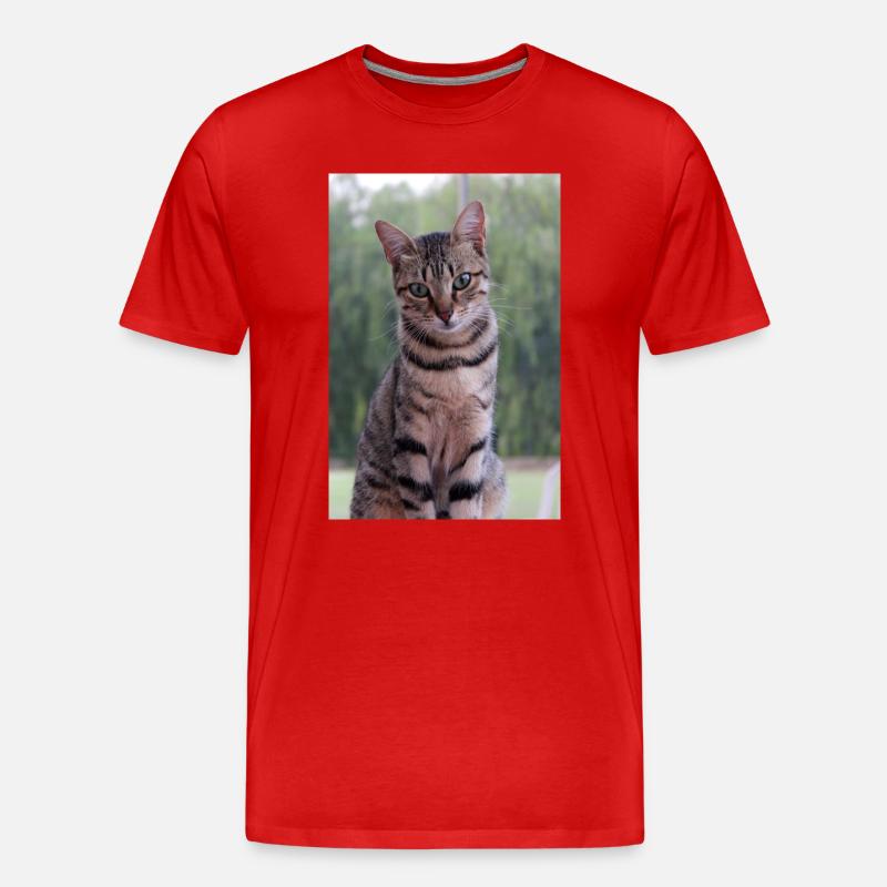 Katze Kätzchen - Männer Premium Bio T-Shirt - Rot
