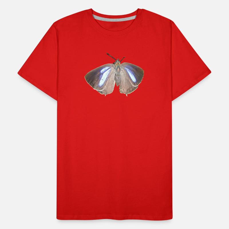Blauer Eichen-Zipfelfalter Männer Premium Bio T-Shirt