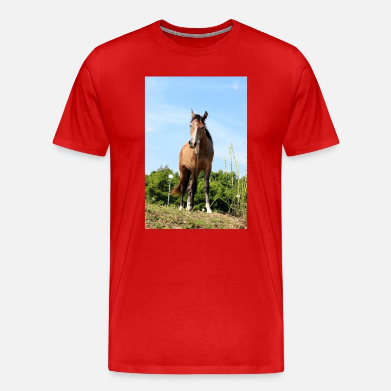 Pferd Pferdeposter - Männer Premium Bio T-Shirt - Rot