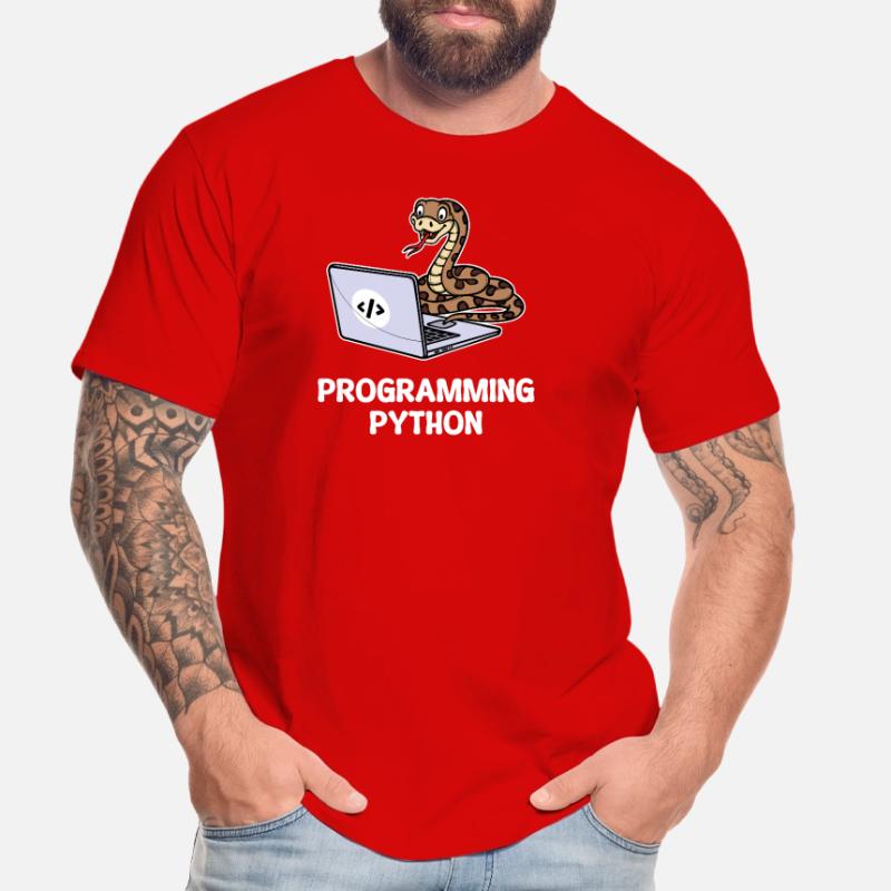 Skripting Programmierer Computer Debug Developer Männer Premium Bio T-Shirt