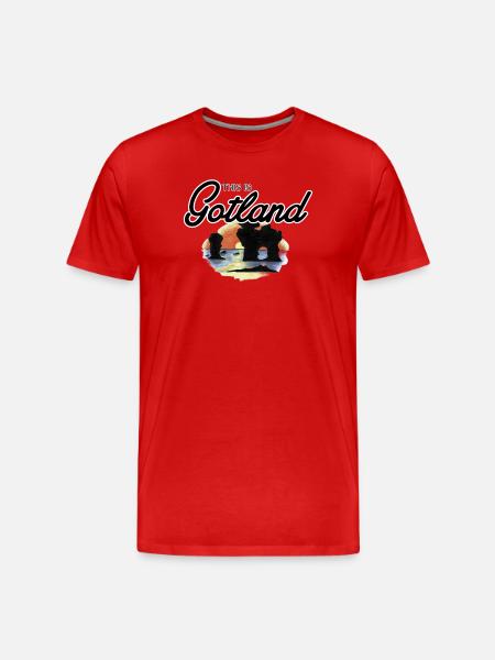 This Is Gotland - Rauk - Men's Premium Organic T-Shirt - red