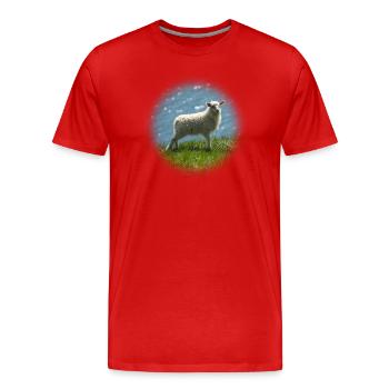 Junges Island Schaf auf Wiese - Männer Premium Bio T-Shirt - Rot - Vorne - Damien (186cm)