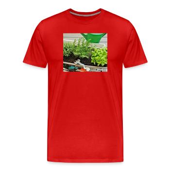 Herbe - T-shirt bio Premium Homme - rouge - Devant - Damien (186cm)