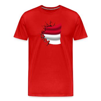 Flagge von Indonesien - Indonesien - Flagge gebrochen - Männer Premium Bio T-Shirt - Rot - Vorne - Damien (186cm)