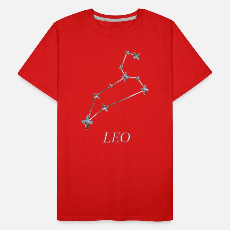Constellation du Lion – Constellation de l’Astro d’argent T-shirt bio Premium Homme