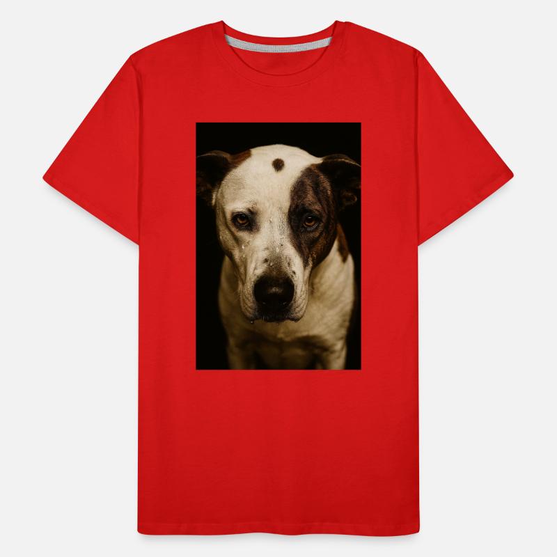Mon copain chien T-shirt bio Premium Homme