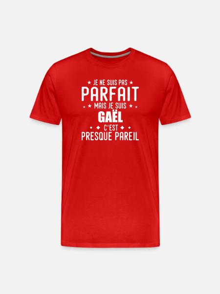 Gael: authentic, imperfect, top, perfection - Men's Premium Organic T-Shirt - red