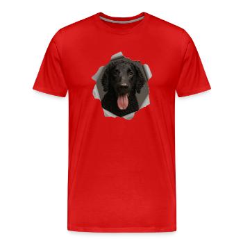 Curly coated retriever - Men's Premium Organic T-Shirt - red - Front - Damien (186cm)