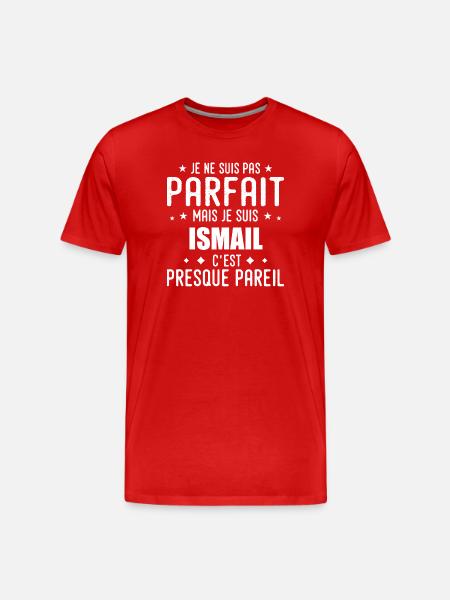 Ismail: authentic, imperfect, top, perfection - Men's Premium Organic T-Shirt - red