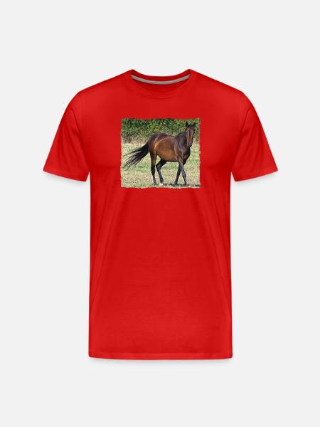 Brun hest, der går på en eng - Herre Premium T-shirt økologisk - rød